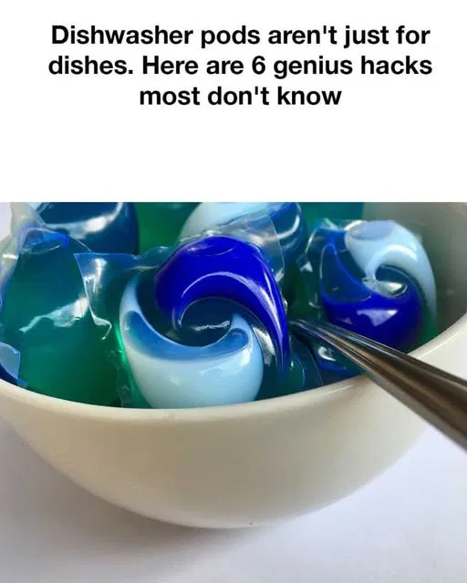 468288085 992384892932891 7713909786292598096 n